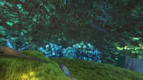 bbb_sunflower_1080p_30fps_normal.mp4